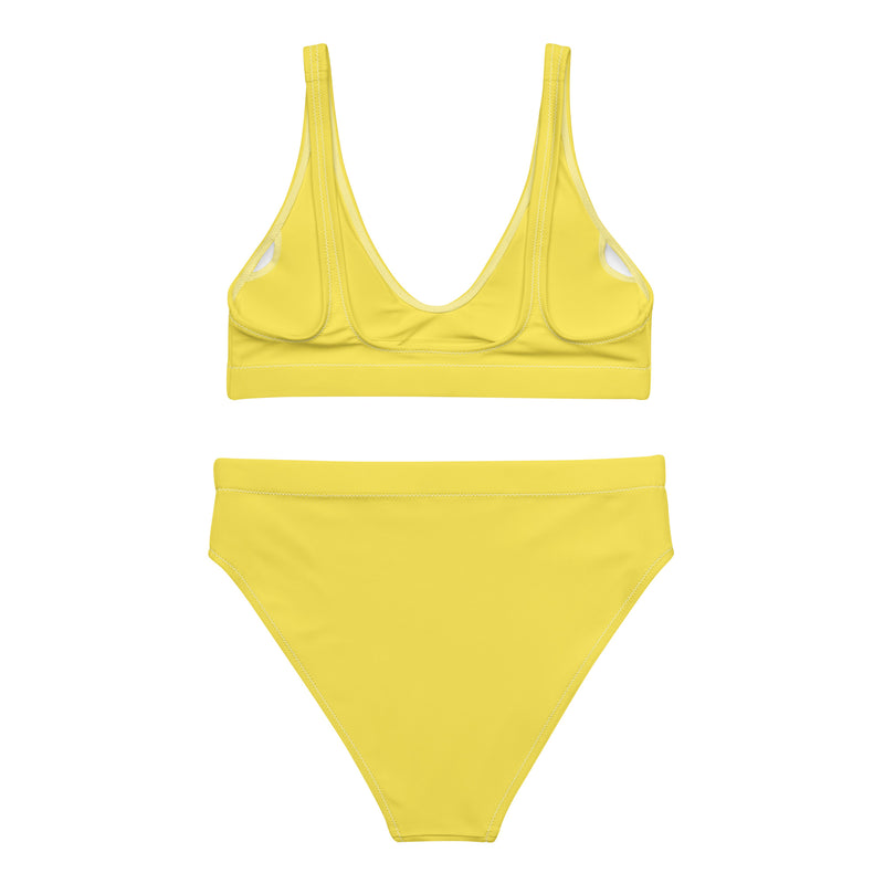 Paris Daisy Upstormed High-Waisted Bikini